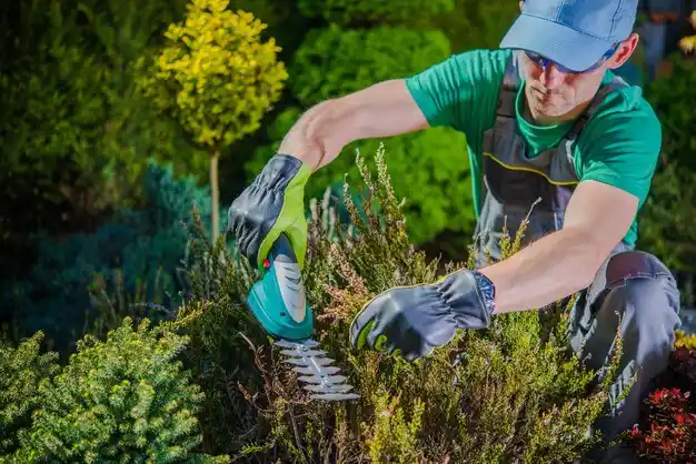 landscaping services Crescent Springs